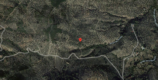 Finca rústica  Molino nuevo poligono 35 parcelas 431 y 13. Terreno en venta
