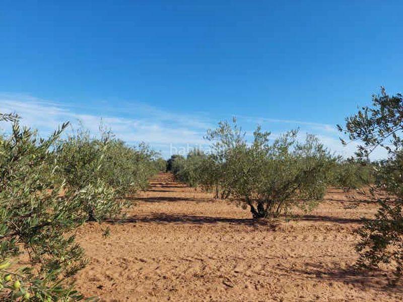 Foto d2c3558a-747c-4619-b4c0-ce2cacd8f9e8. Finca rústica terreno en venta en Arahal