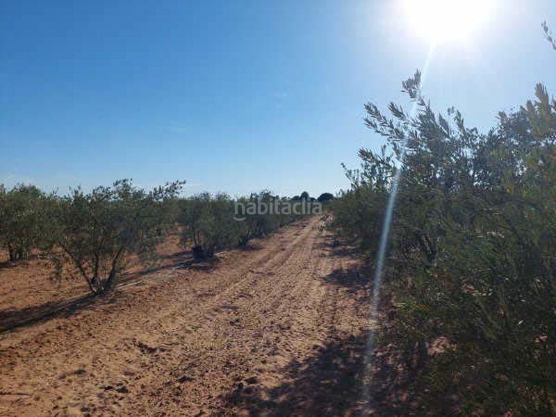 Foto f647baea-a018-4ec8-8dc6-a5182e49b6e6. Finca rústica terreno en venta en Arahal