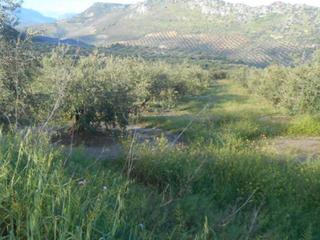 Rural plot  Cañada de cahicena (raja isidora). Terreno en venta