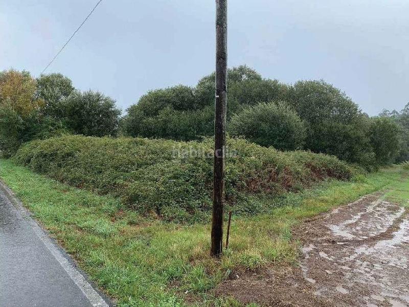 Foto 05125d66-e0ae-4f05-9a3f-59c6284850c4. Fondo rustico in Teo