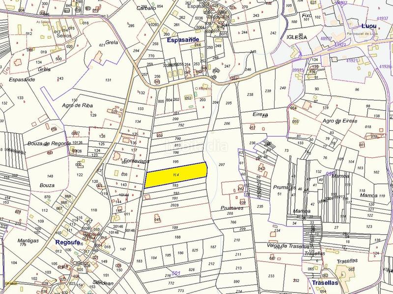 Foto b38d964c-6b15-4a10-aca5-6a290f29b9df. Fondo rustico in Teo