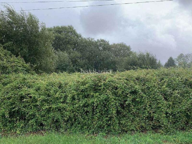 Foto bc4f1d41-5ddc-4bfc-8e94-59c21a6aad6d. Fondo rustico in Teo