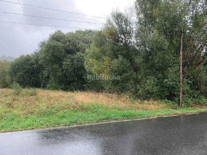 Foto c24413d4-27ee-46d5-b5f2-643e38c6c530. Fondo rustico in Teo