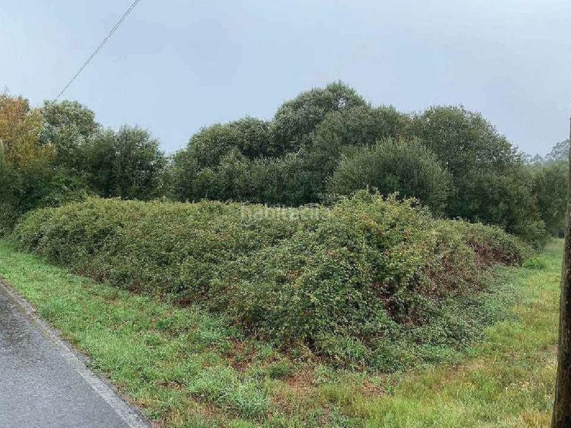 Foto ccad85ee-96b3-43c5-aa0f-b07dcae863ba. Fondo rustico in Teo