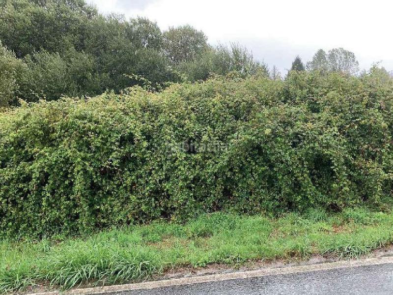 Foto f06e62f6-f65a-4bc5-9e3b-37a08650cc66. Fondo rustico in Teo