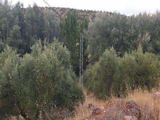 Finca rústica  Rincon de escolar o ladera disgustos. Terreno en venta