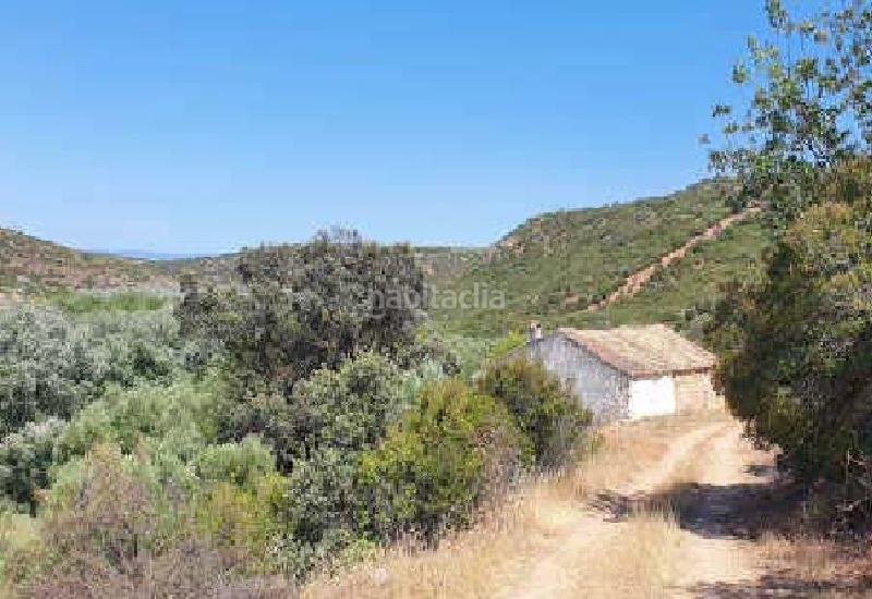Foto d1671711-3dda-47d9-b494-75049c14ef18. Finca rústica terreno en venta en Sabiote