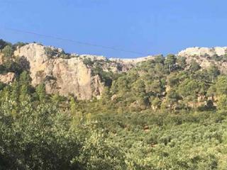 Finca rústica  Natao alto. Terreno en venta