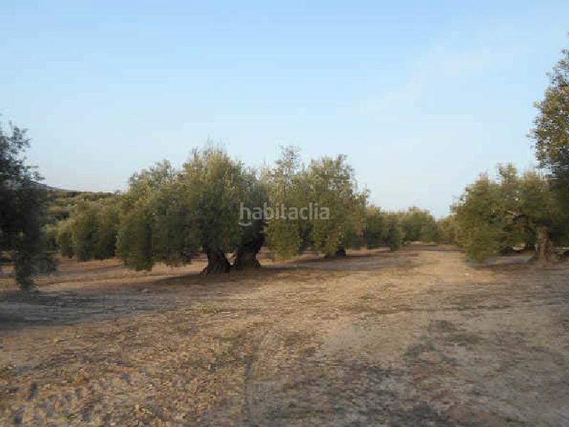 Foto 691bc980-c999-4731-b0a9-d807b4d1a9a1. Finca rústica terreno en venta en Martos