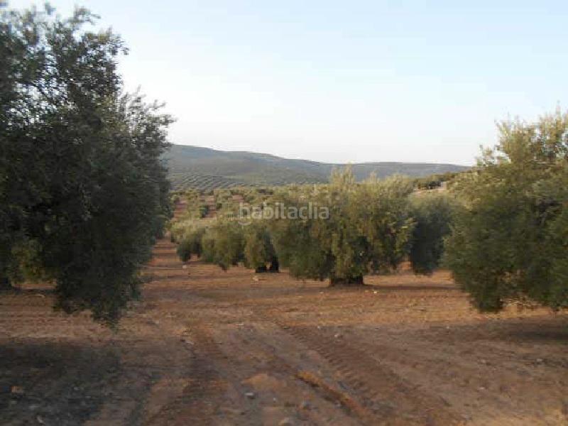 Foto e7b530a1-363d-4de6-a17a-67cd249aa09d. Finca rústica terreno en venta en Martos