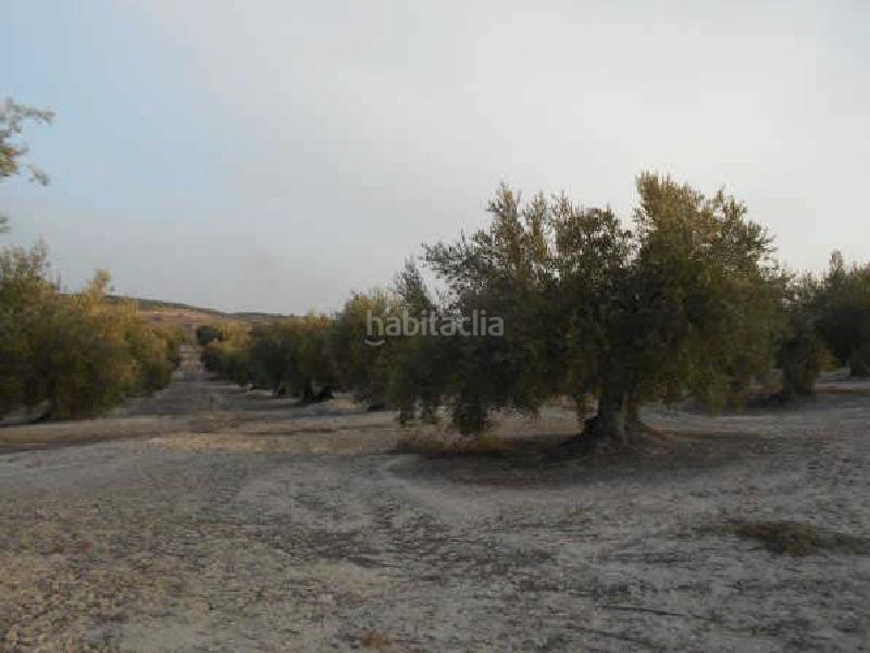 Foto fac03a5a-57f4-492e-bba9-501b4ed50014. Finca rústica terreno en venta en Martos