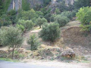 Terreny residencial  Cr de la sierra,s.n. Terreno en venta