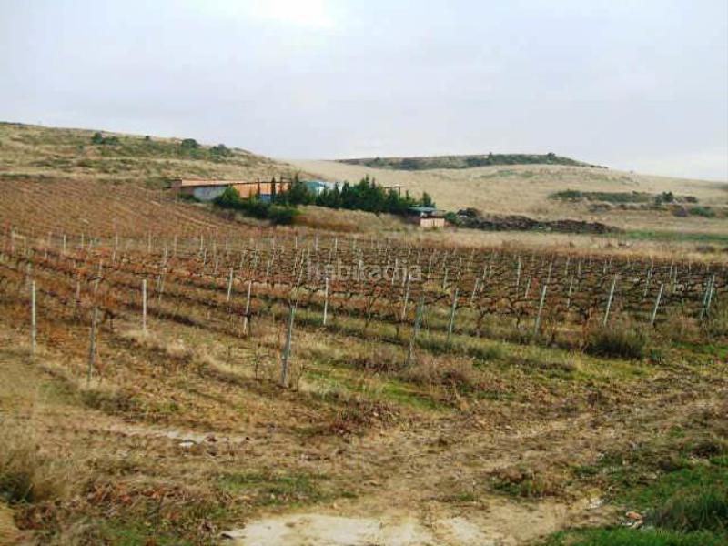 Foto 24c1569d-5800-4f82-89ee-a1a1307d670f. Finca rústica a paraje el gancho 296 a Laguardia