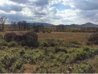 Finca rústica a Parcelas castrocontrigo 43. Terreno en venta