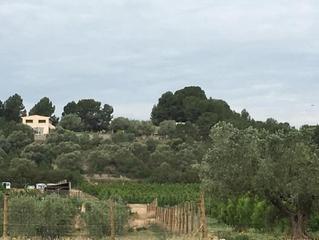 Finca rústica a L' infern s/n. Terreno en venta