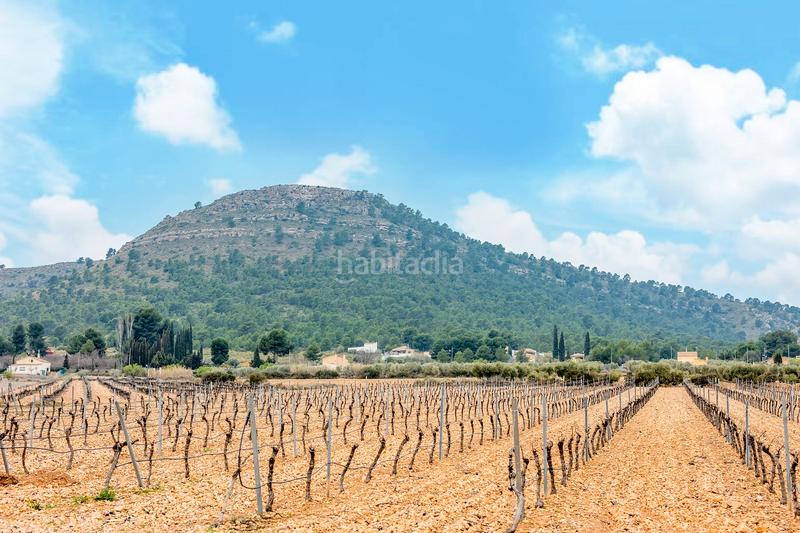 Foto 48c1f167-891d-43da-8c7f-aea91d4e866a. Fondo rustico in de las atalayas sn in Yecla