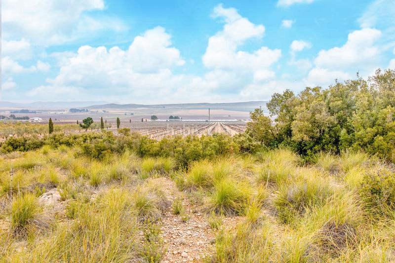 Foto 9be5158e-1e2f-4755-8b3f-225114534f8d. Fondo rustico in de las atalayas sn in Yecla