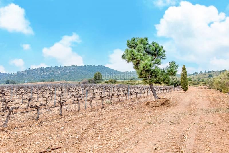 Foto c27923fa-0cc7-46d9-8c7d-ccd3b89bab75. Fondo rustico in de las atalayas sn in Yecla