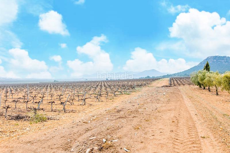 Foto db37a6b3-9852-4431-a311-4bdd495013f4. Fondo rustico in de las atalayas sn in Yecla