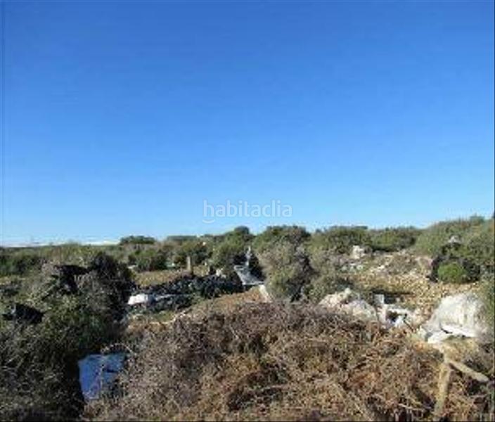 Foto 6afadd0d-f3ff-47c3-aad5-196c8b9ced4c. Terreno residencial terreno en venta en Ejido Sur Ejido (El)