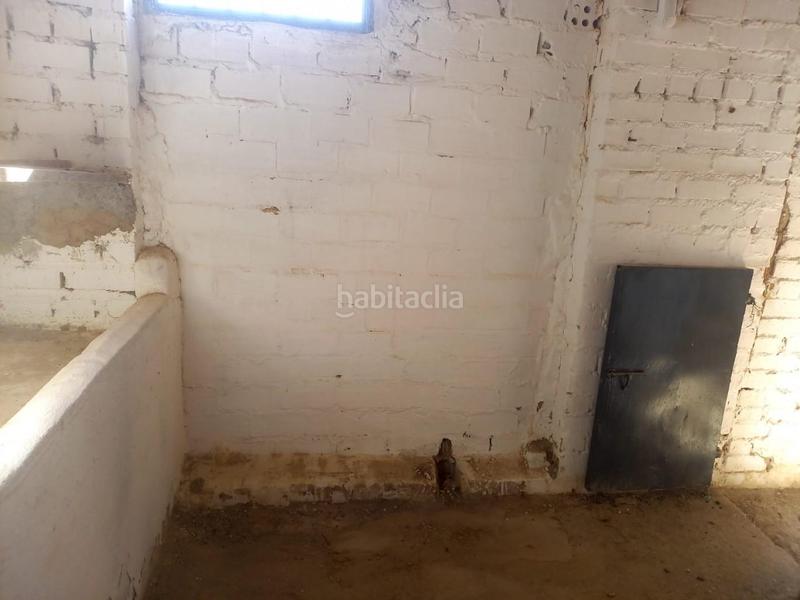 Foto b3c42bcd-bb8a-41b6-95f8-2d7006f26237. Wohngrundstück in la pedriza 11 in Villanueva de Algaidas