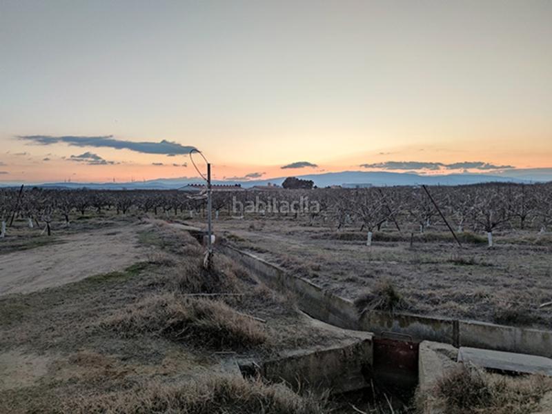 Foto 20c59b8e-9666-44dd-b655-852f56a103ec. Finca rústica terreno en venta en Alfaro