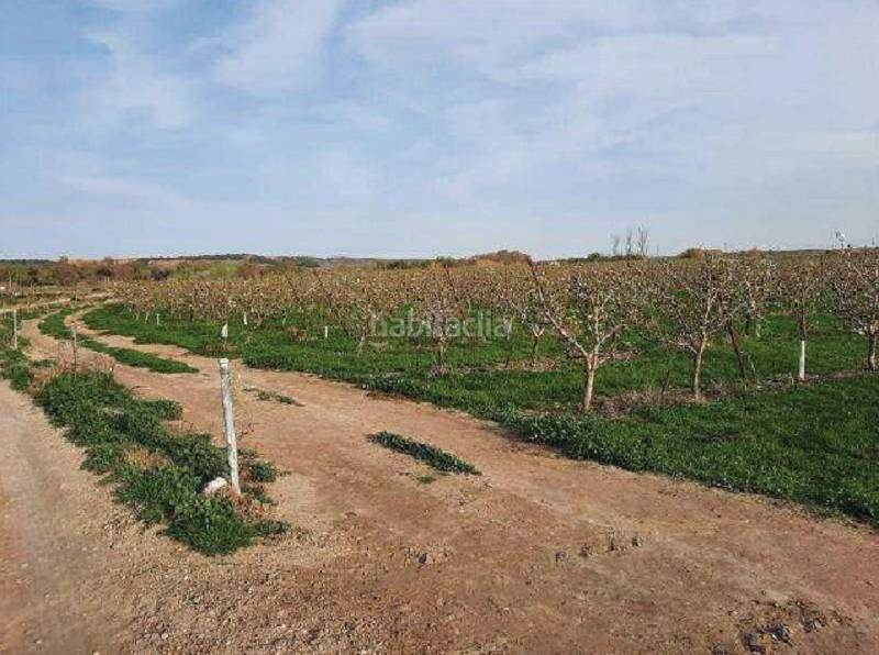 Foto 255d97e8-bac0-40f9-a767-51a7ec8f33dd. Finca rústica terreno en venta en Alfaro