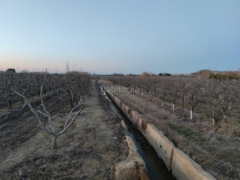 Foto 25c7fa62-13a2-40f0-9c24-c9bebb04dccd. Finca rústica terreno en venta en Alfaro