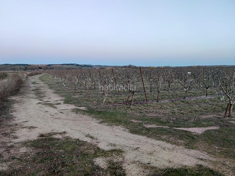 Foto 62d8163d-ed3d-47a4-bc3c-215f9dfa2630. Finca rústica terreno en venta en Alfaro