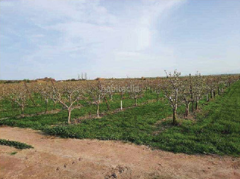 Foto 72e7db5e-36ee-4388-9e38-1af0ce596fe7. Finca rústica terreno en venta en Alfaro