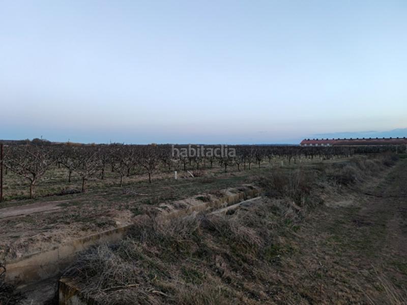 Foto e42c8f2c-fac4-4603-9b4b-84abe2bc8cf6. Finca rústica terreno en venta en Alfaro