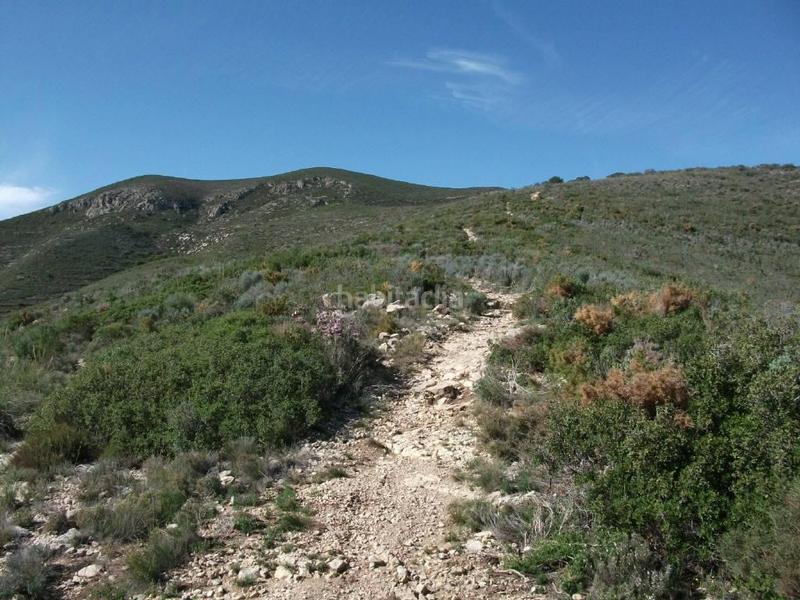 Foto 57e51803-7955-4a40-92a8-de23096ec17f. Fondo rustico in polígono tres 206 in Las Pedrizas Chiva