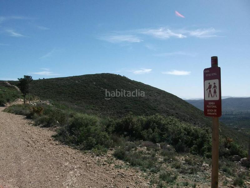Foto 99976123-0fd6-43df-8aca-e51155a03419. Fondo rustico in polígono tres 206 in Las Pedrizas Chiva