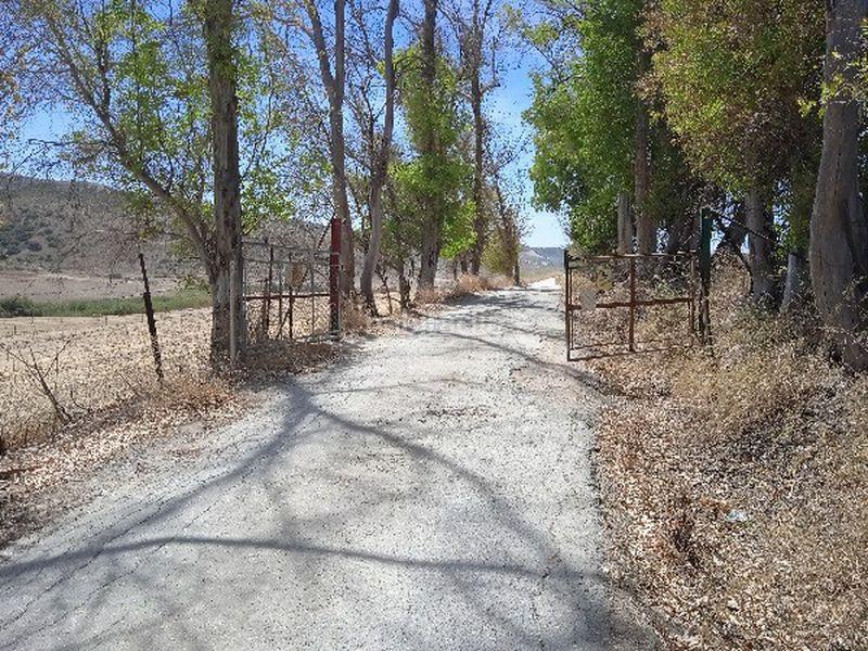 Foto 42f71f07-af9e-4e3c-8ba2-883c62c49551. Finca rústica a Morón de la Frontera