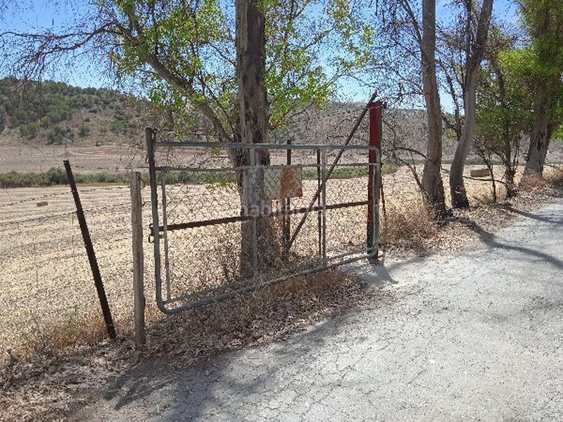 Foto adb28fc5-26d6-4a69-b55a-e5f2f7964424. Finca rústica a Morón de la Frontera