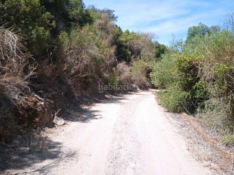 Foto b31c6da5-0a77-433c-824e-87408d4ebe3a. Finca rústica a Morón de la Frontera