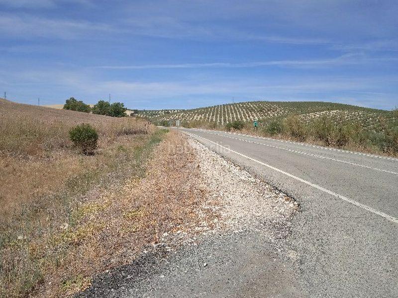 Foto dd41f089-c978-4d43-a031-d4bb318f2229. Finca rústica a Morón de la Frontera