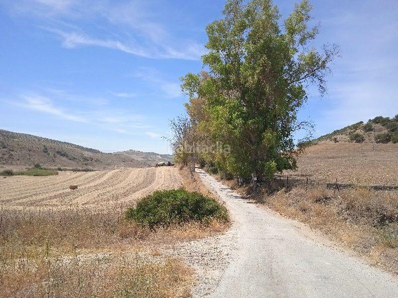 Foto eec85b94-d038-4b6f-9f2f-efdd463227ab. Finca rústica a Morón de la Frontera