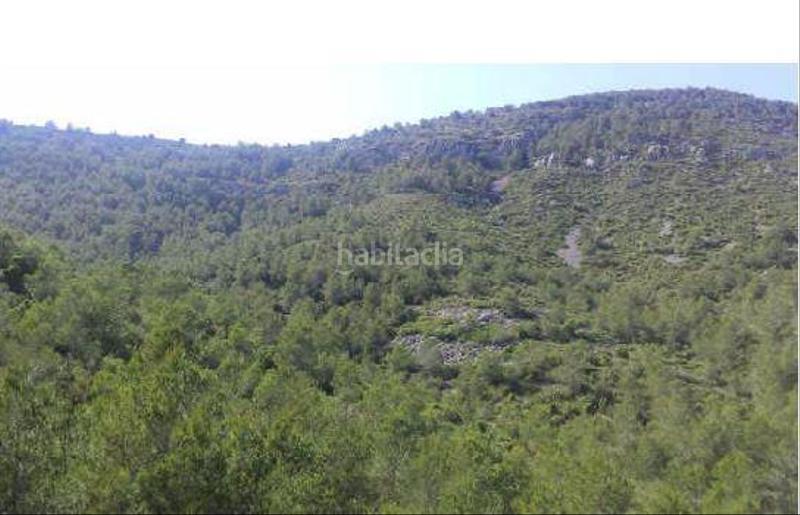 Foto 23a45fc6-c39a-48fa-8ce2-d24231f71521. Finca rústica en palava terreno en venta en Alcalà de Xivert