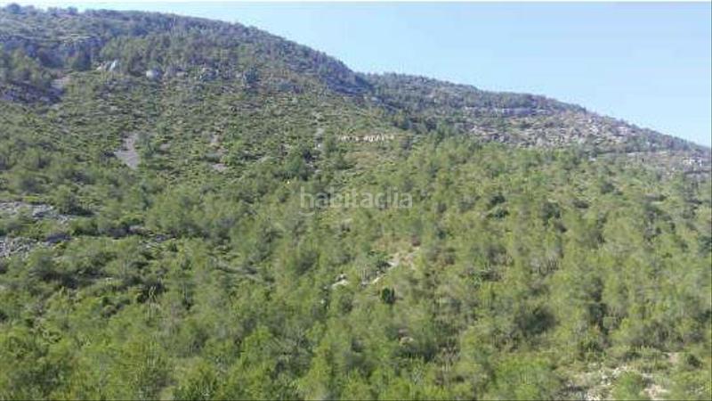 Foto 351bd620-775c-43f3-bb59-3d7fc3ff1784. Finca rústica en palava terreno en venta en Alcalà de Xivert