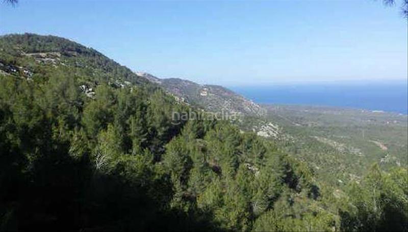 Foto 74b41080-81d6-4a72-bc96-98694b5a18de. Finca rústica en palava terreno en venta en Alcalà de Xivert