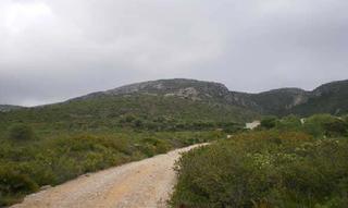 Finca rústica a Canoncha polig 12. Terreno en venta