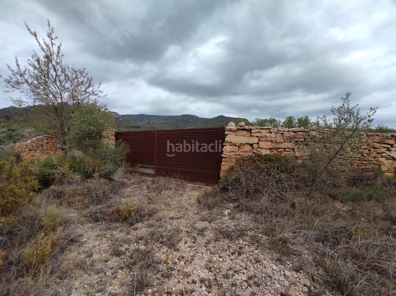 Foto 23d9561a-f64e-452d-a3b5-a3836cc0d5cf. Rural plot in bassa homedes s/n in Sénia (La)