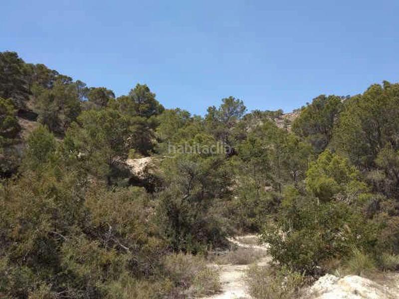 Foto 1c64776d-2b0c-4e63-b8fc-81dd73163da0. Fondo rustico in buidasacos pol 26 s/n in Centro Urbano Vila Joiosa (la)