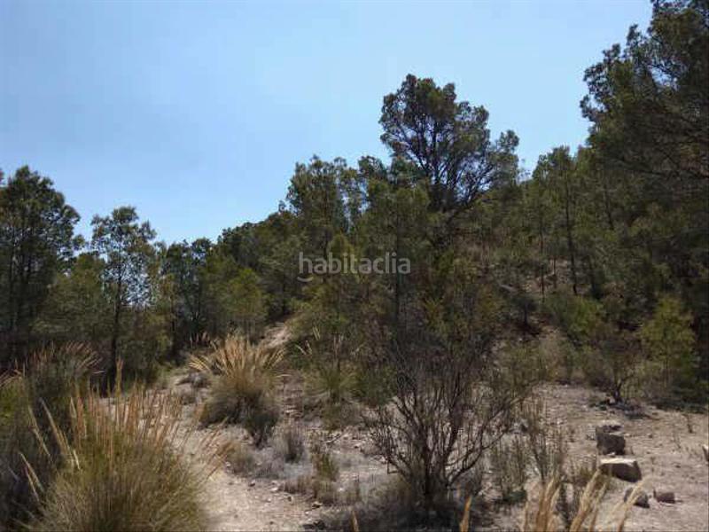 Foto 717fc077-549c-4307-ab41-fb779c7ff66d. Fondo rustico in buidasacos pol 26 s/n in Centro Urbano Vila Joiosa (la)