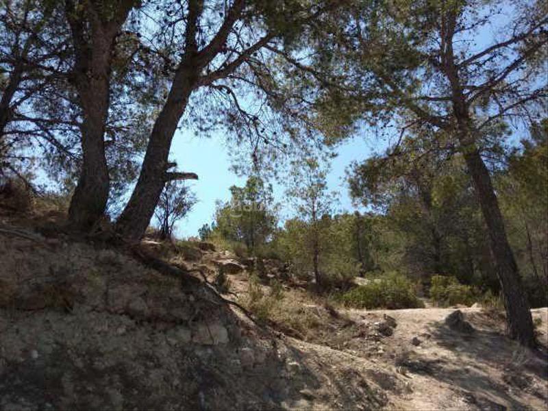 Foto 90150dee-364e-4581-bcf5-809aff8e65d5. Fondo rustico in buidasacos pol 26 s/n in Centro Urbano Vila Joiosa (la)