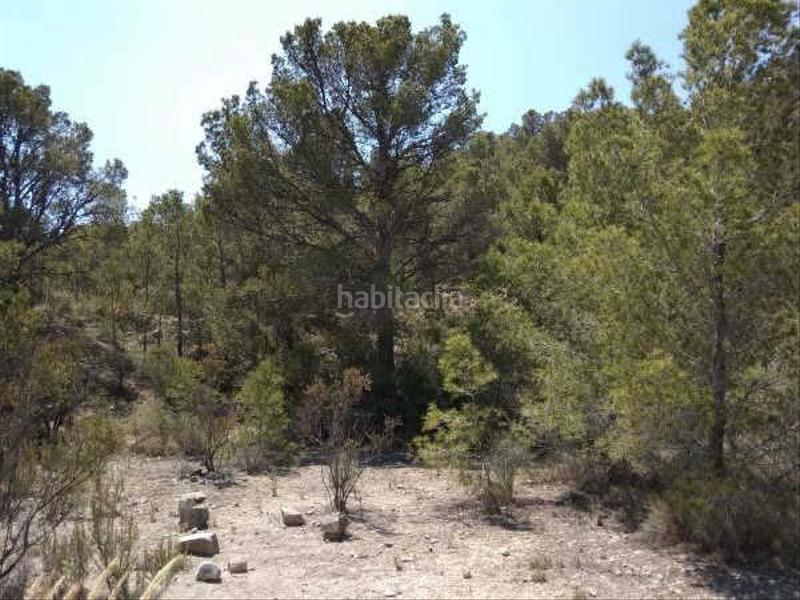 Foto b72230df-6f58-498a-acf1-c9c0bdbd83b0. Fondo rustico in buidasacos pol 26 s/n in Centro Urbano Vila Joiosa (la)