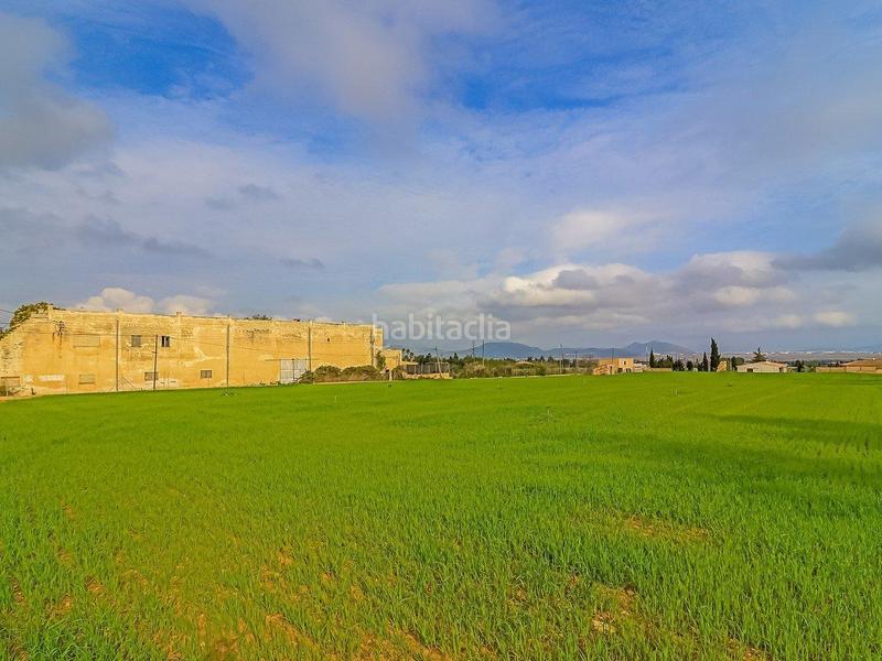 Foto 7cd21084-86cc-4f98-8333-5358e5111f89. Finca rústica a son morey 553 a Muro