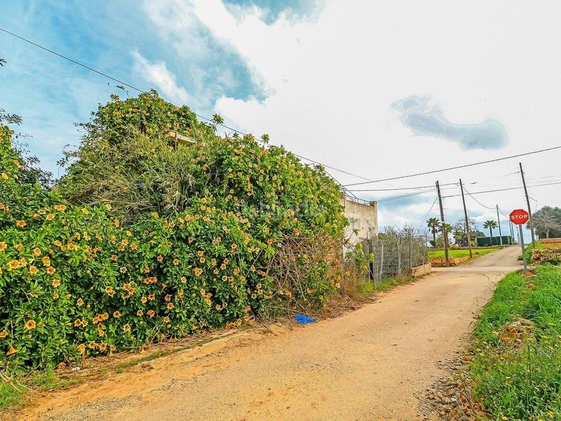 Foto e5c71dc9-b33d-4fb3-bc6c-2ff28cd055db. Finca rústica a son morey 553 a Muro